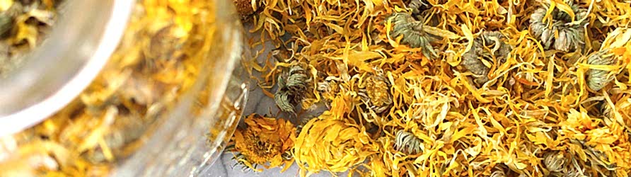 bitkisel-yaglarin-ozellikleri-adil-kayisoglu